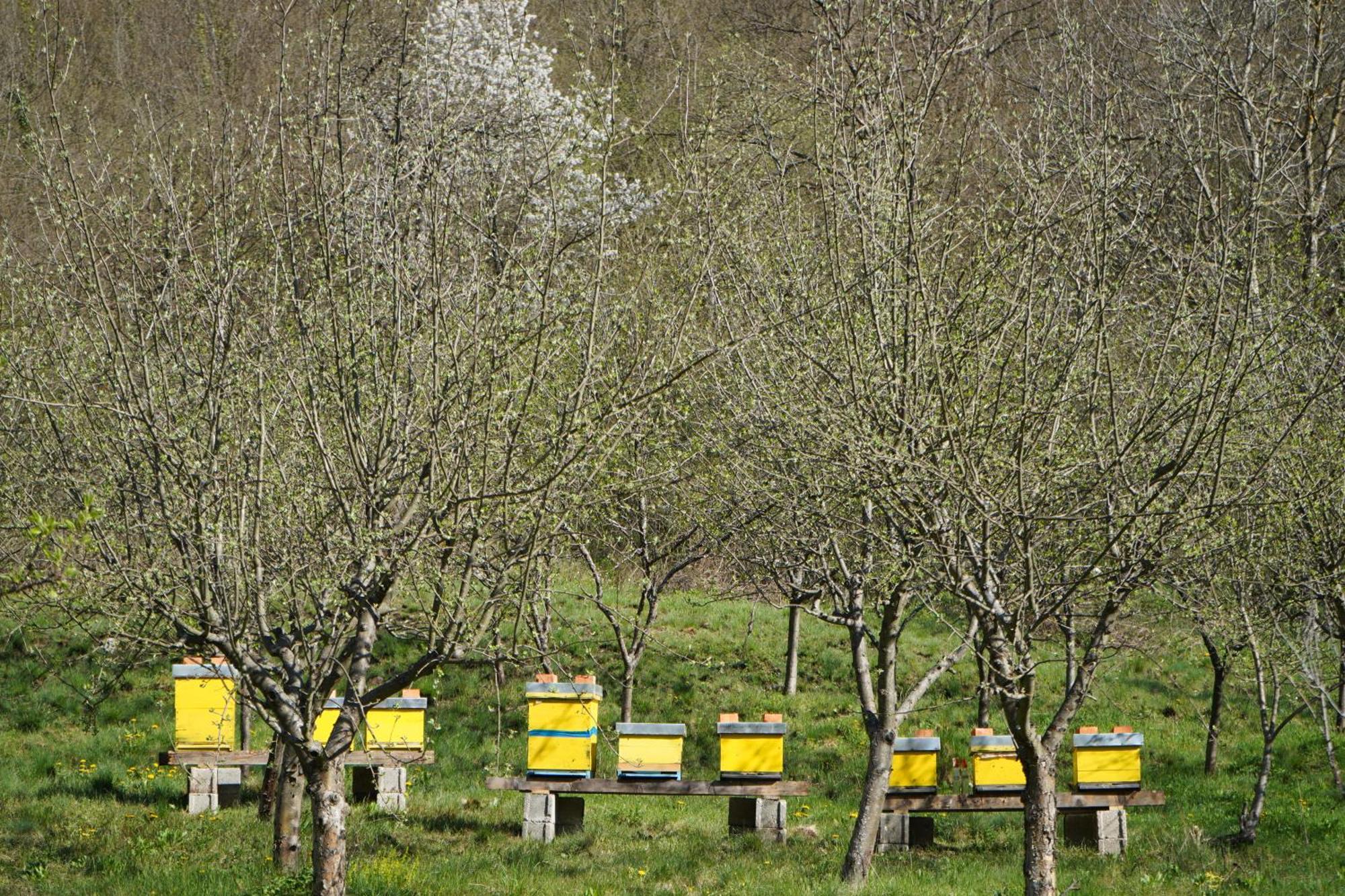 Domacinstvo Na Kraju Svijeta Sipovo Exterior foto